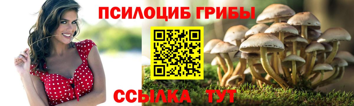 Галлюциногенные грибы MAGIC MUSHROOMS  Вход с VPN  Шарыпово 